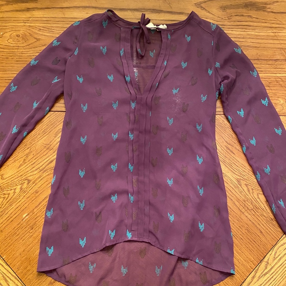 Sheer blouse